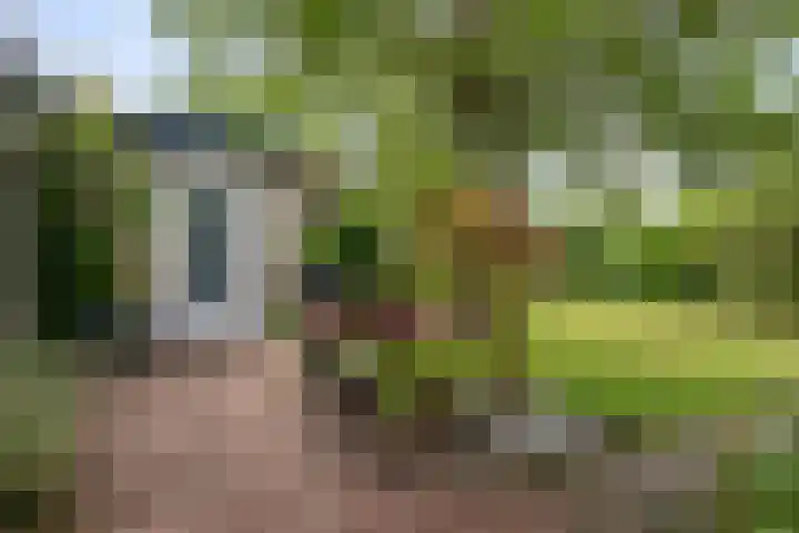 Van Hoekenstraat 8 's-Gravenpolder thumbnail 26