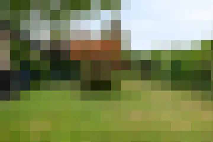 Van Hoekenstraat 8 's-Gravenpolder thumbnail 27