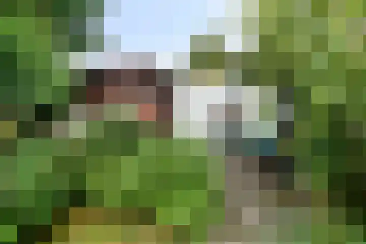 Van Hoekenstraat 8 's-Gravenpolder thumbnail 28