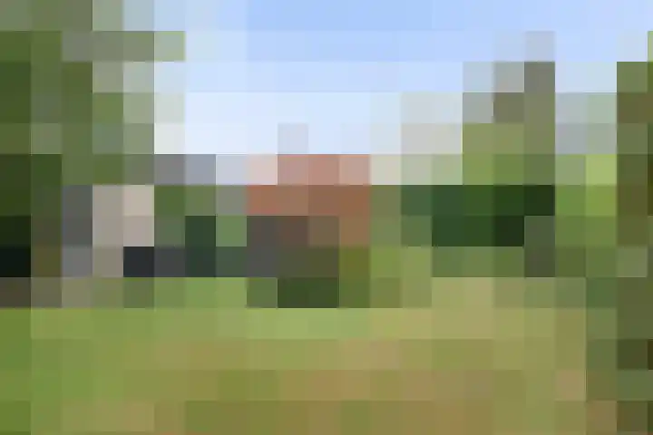Van Hoekenstraat 8 's-Gravenpolder thumbnail 29
