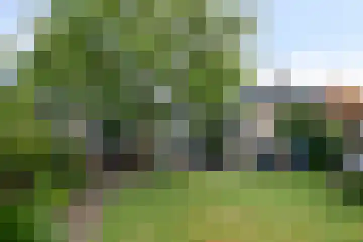 Van Hoekenstraat 8 's-Gravenpolder thumbnail 30
