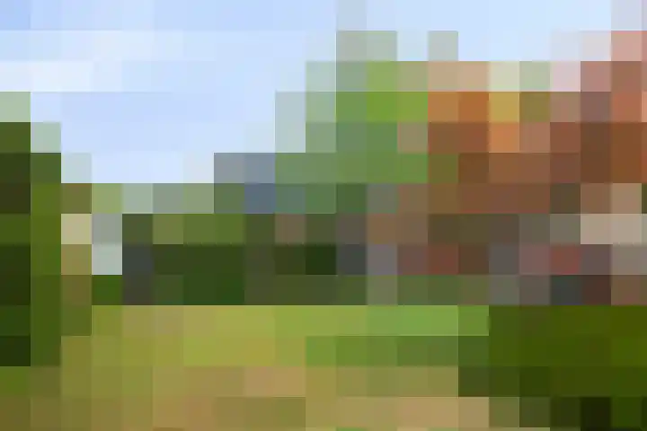 Van Hoekenstraat 8 's-Gravenpolder thumbnail 31