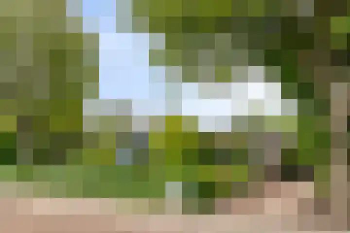 Van Hoekenstraat 8 's-Gravenpolder thumbnail 4