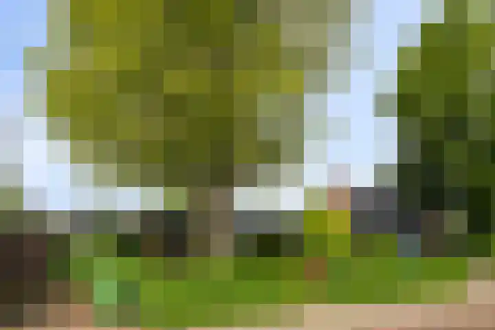 Van Hoekenstraat 8 's-Gravenpolder thumbnail 5