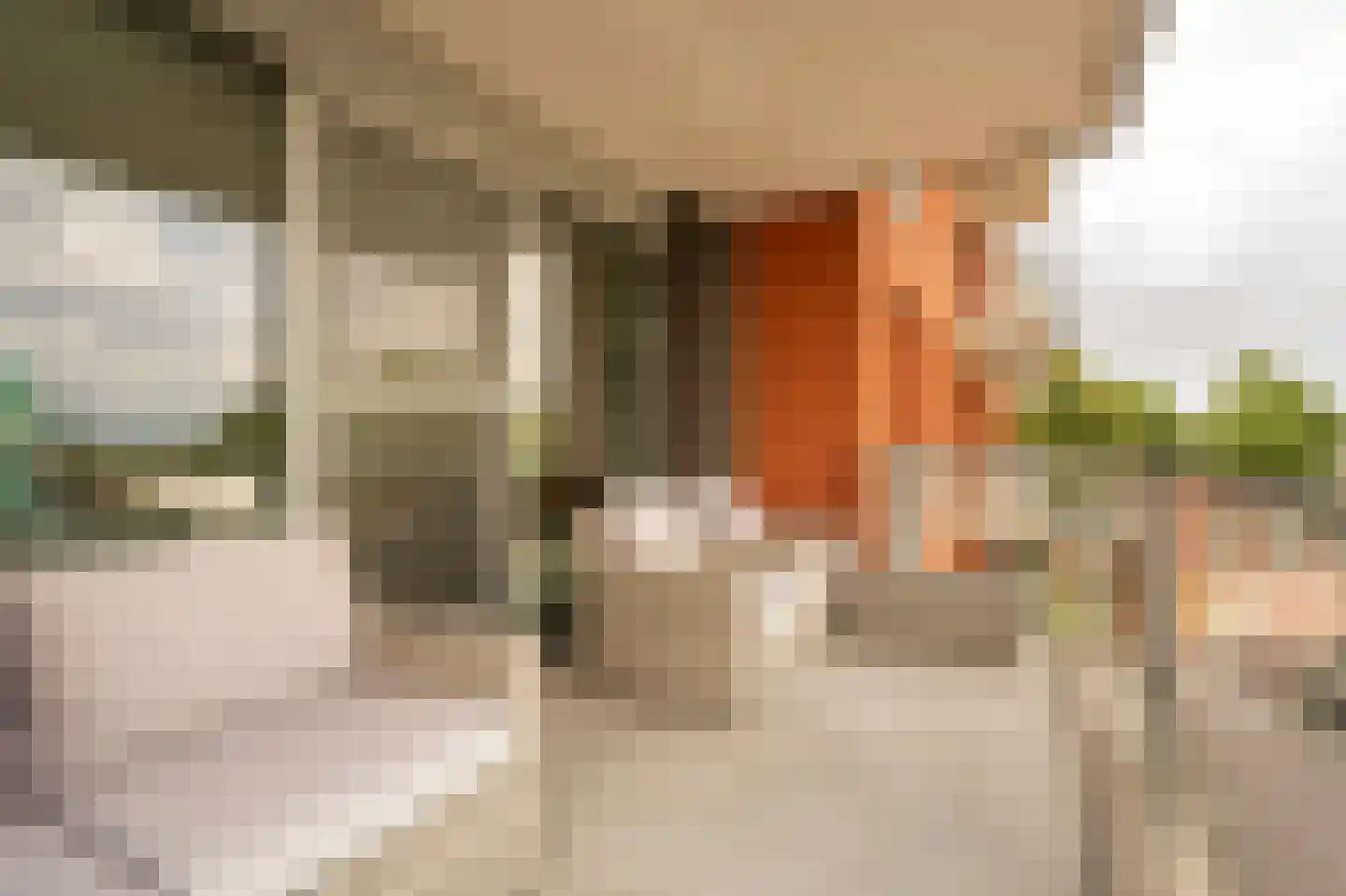 Van Hoevestraat 63 Leerdam thumbnail 17
