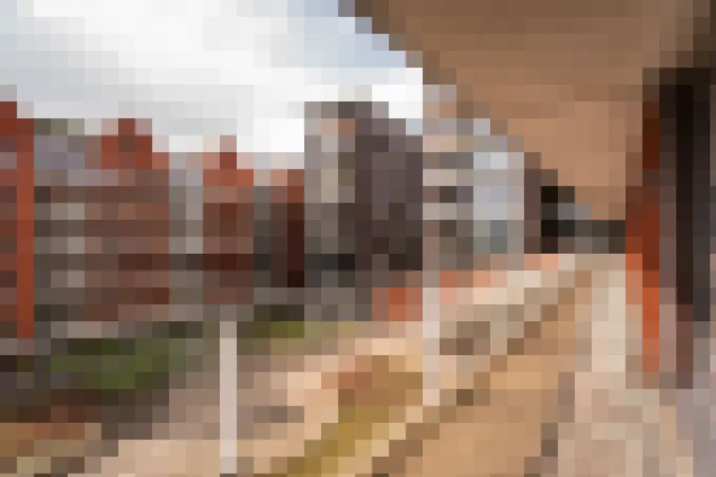 Van Hoevestraat 63 Leerdam thumbnail 4