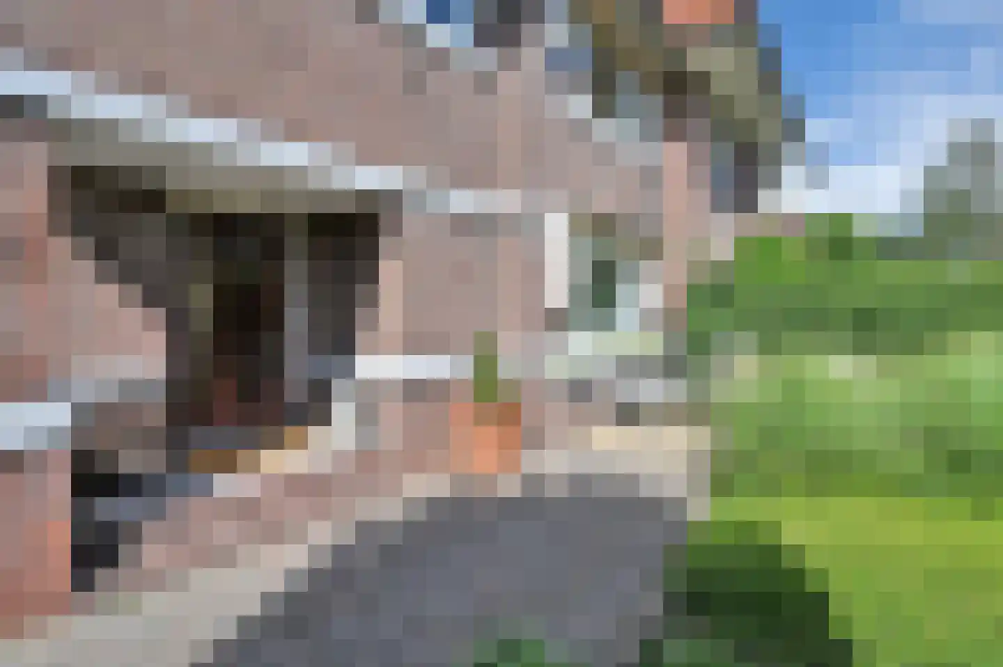 Van Hoeylaan 14 Den Haag thumbnail 12