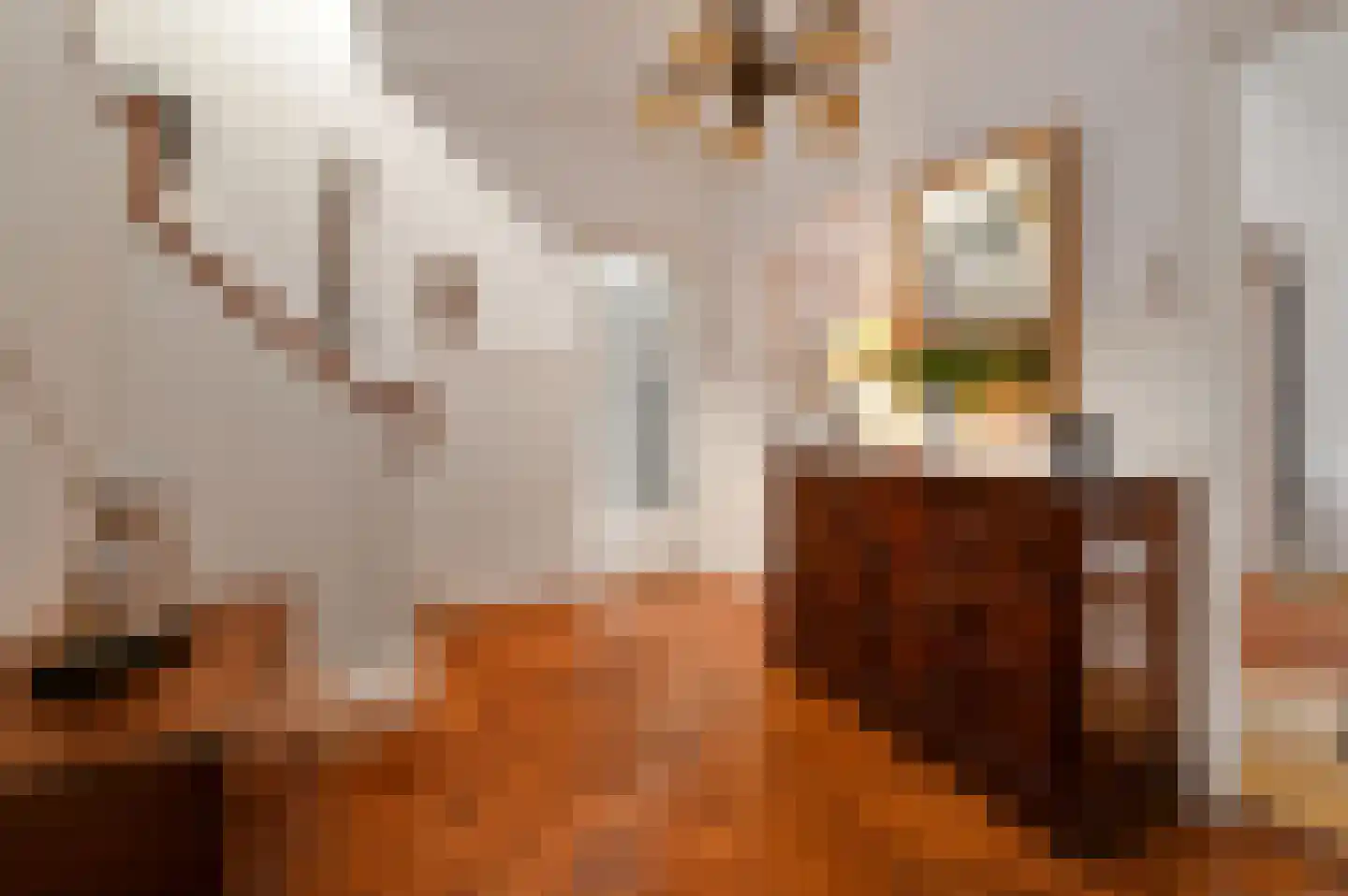 Van Hoeylaan 14 Den Haag thumbnail 15