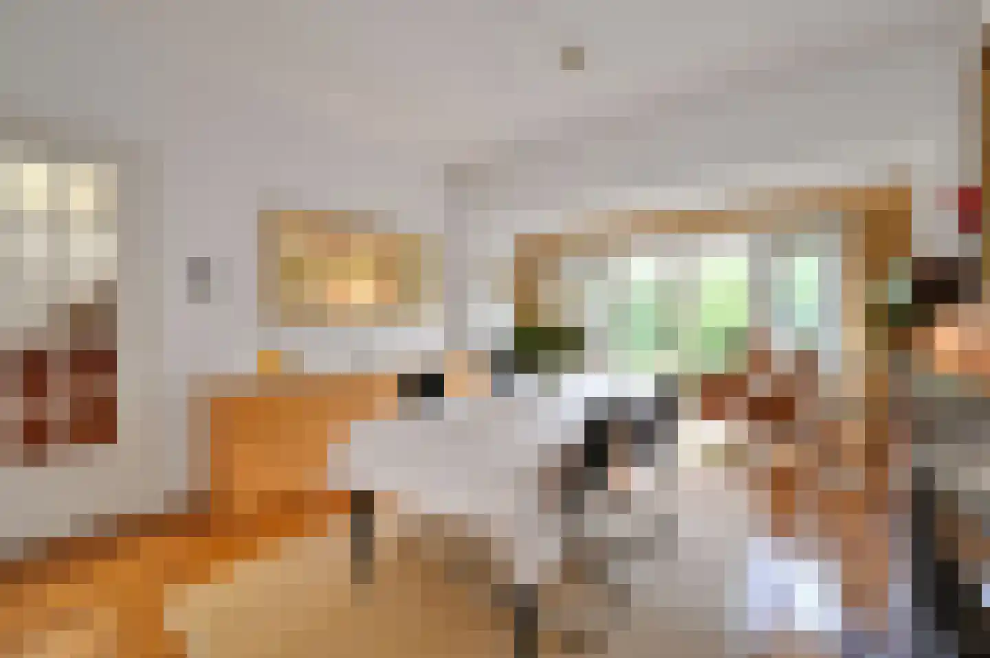 Van Hoeylaan 14 Den Haag thumbnail 22