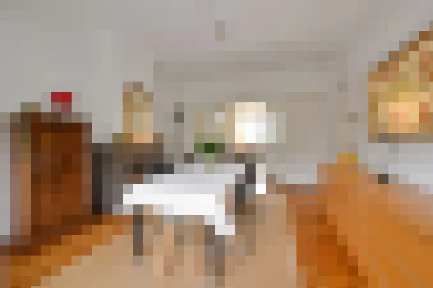 Van Hoeylaan 14 Den Haag thumbnail 23