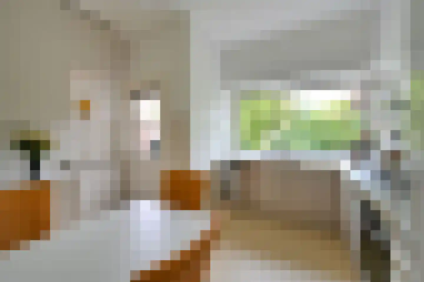 Van Hoeylaan 14 Den Haag thumbnail 24