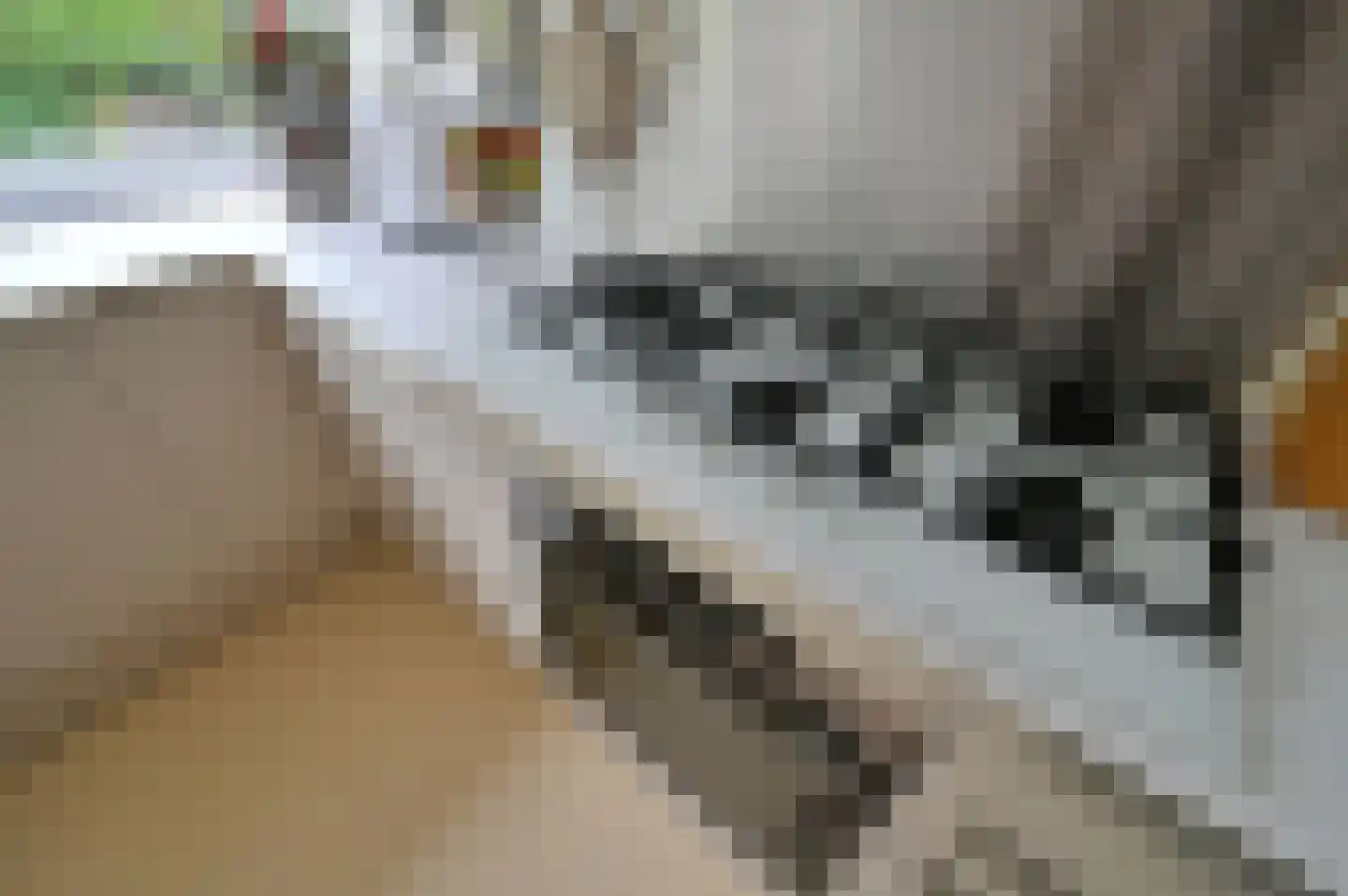 Van Hoeylaan 14 Den Haag thumbnail 26