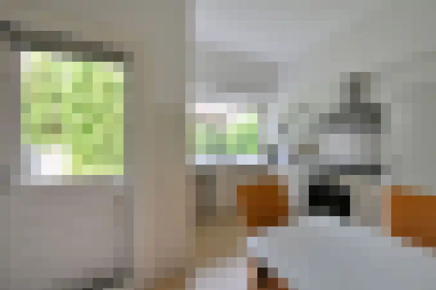 Van Hoeylaan 14 Den Haag thumbnail 27