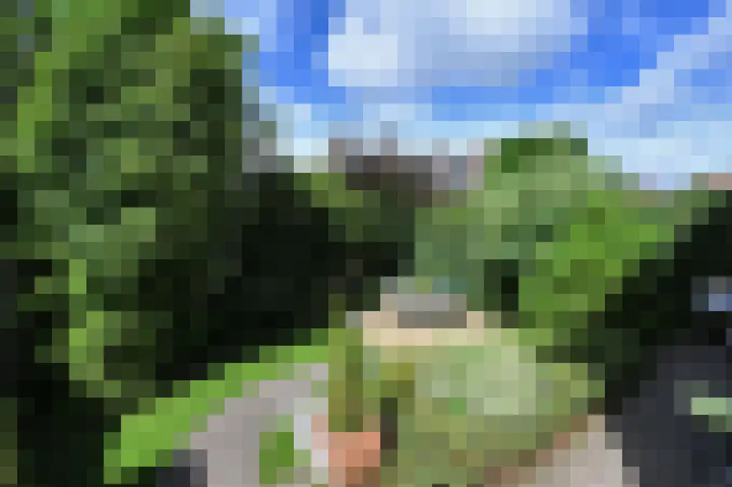 Van Hoeylaan 14 Den Haag thumbnail 31