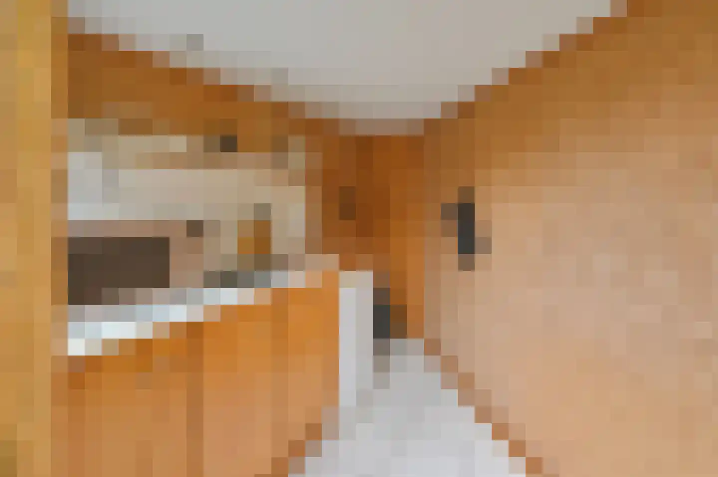 Van Hoeylaan 14 Den Haag thumbnail 34