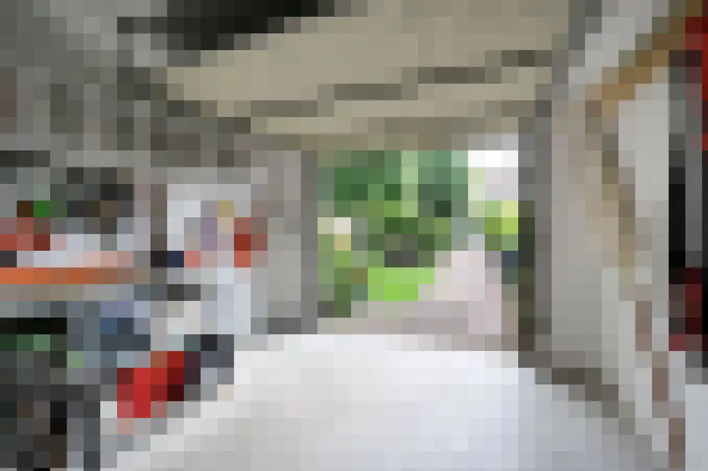 Van Hoeylaan 14 Den Haag thumbnail 37