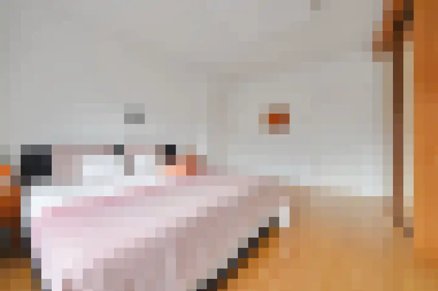 Van Hoeylaan 14 Den Haag thumbnail 45