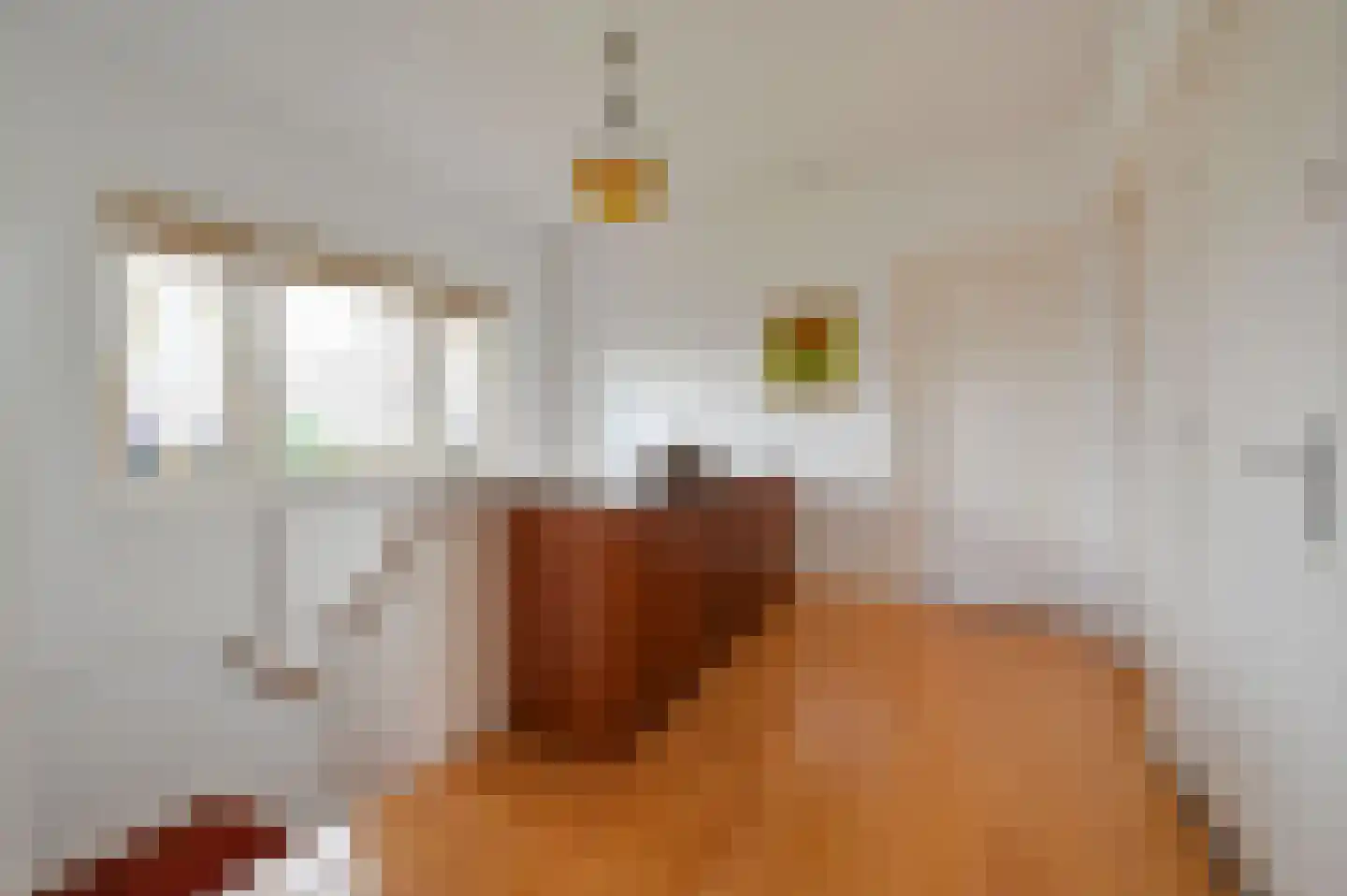 Van Hoeylaan 14 Den Haag thumbnail 46
