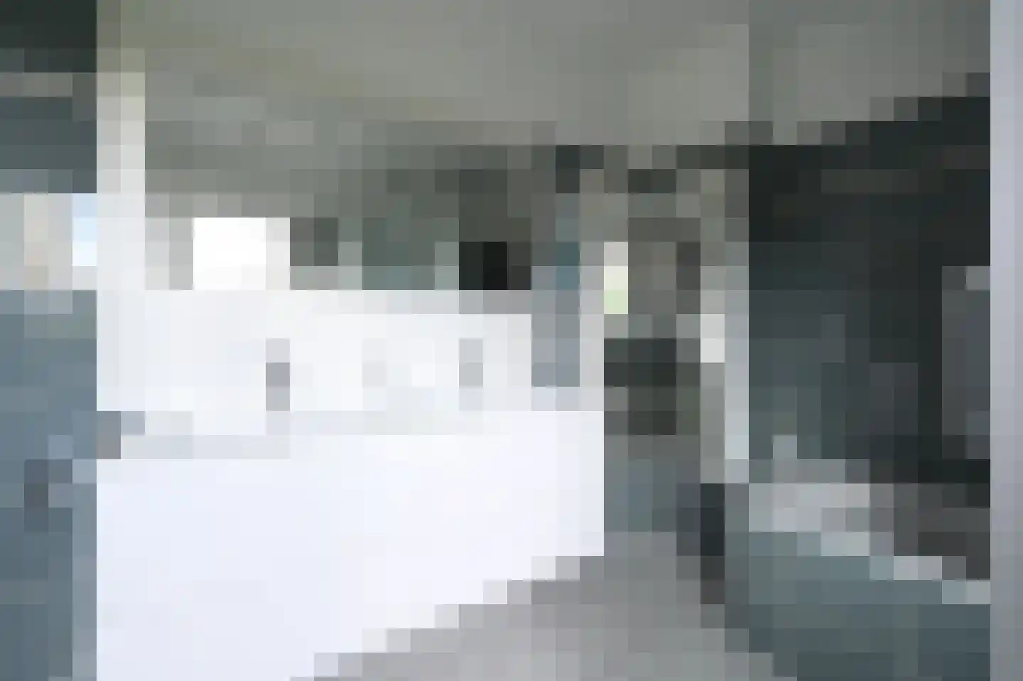 Van Hoeylaan 14 Den Haag thumbnail 48