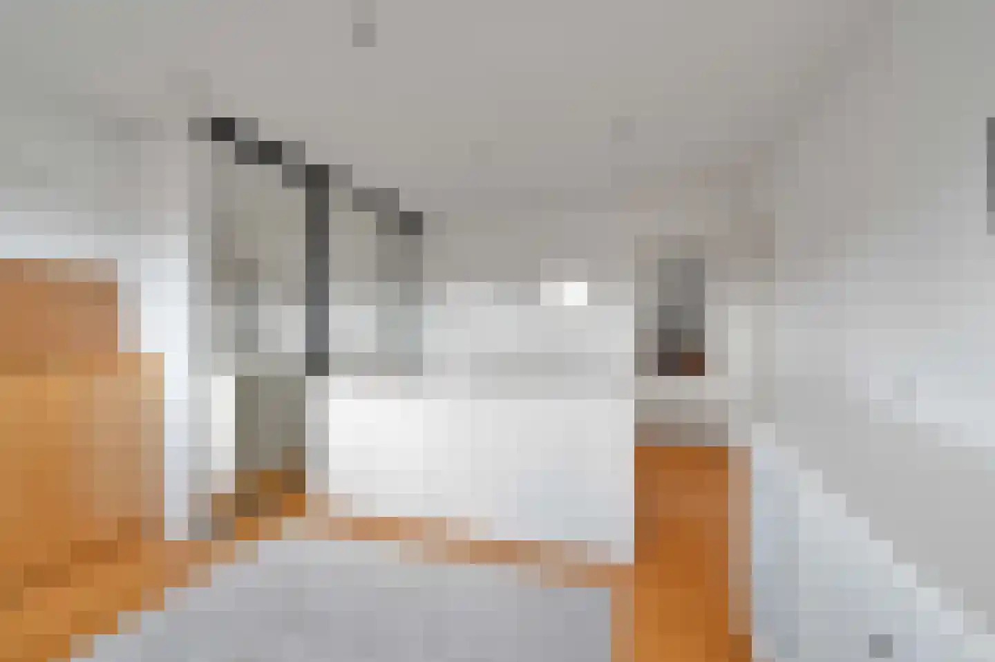 Van Hoeylaan 14 Den Haag thumbnail 55