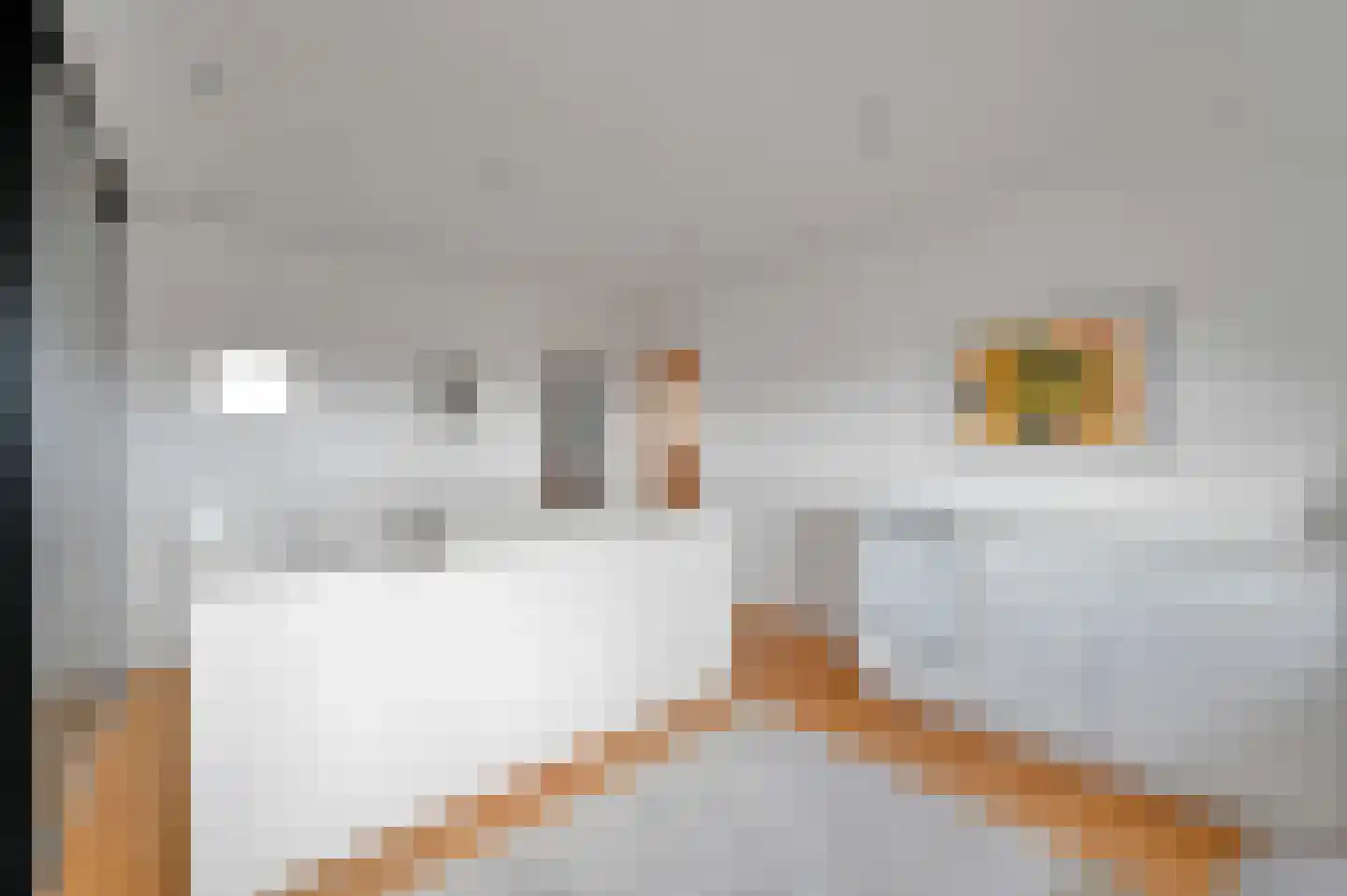 Van Hoeylaan 14 Den Haag thumbnail 56