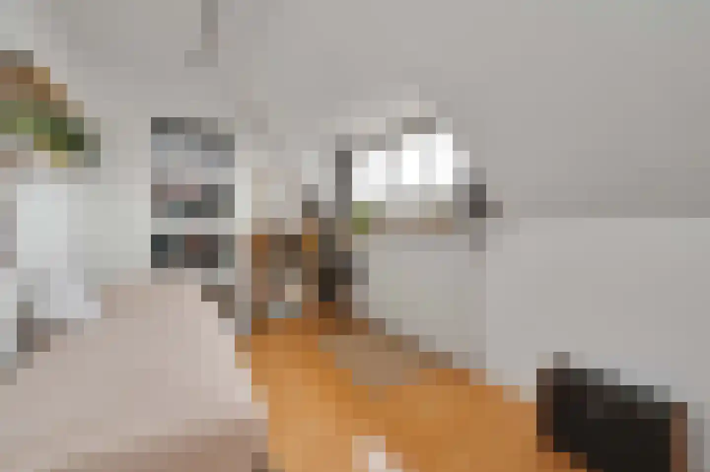 Van Hoeylaan 14 Den Haag thumbnail 57