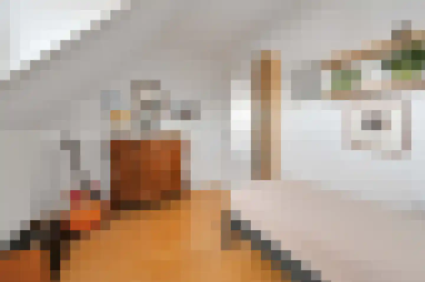 Van Hoeylaan 14 Den Haag thumbnail 58