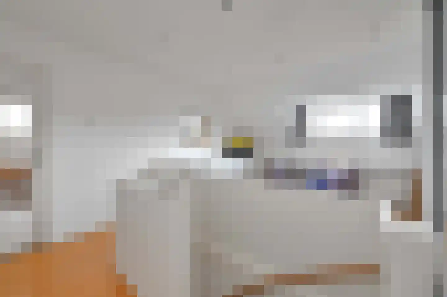 Van Hoeylaan 14 Den Haag thumbnail 59