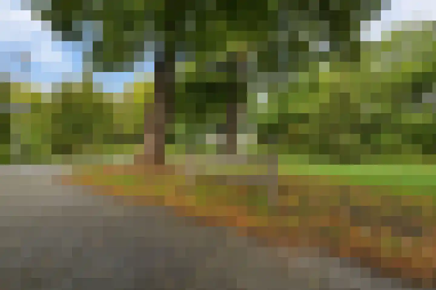 Van Hoeylaan 14 Den Haag thumbnail 66