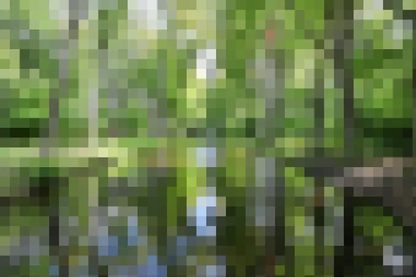 Van Hoeylaan 14 Den Haag thumbnail 67