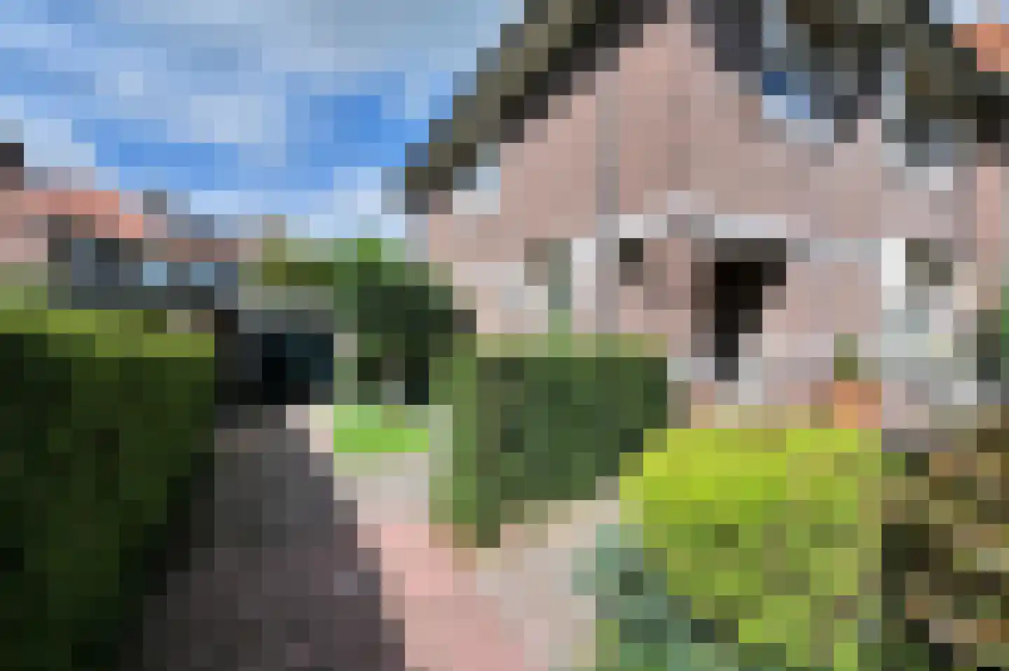 Van Hoeylaan 14 Den Haag thumbnail 9