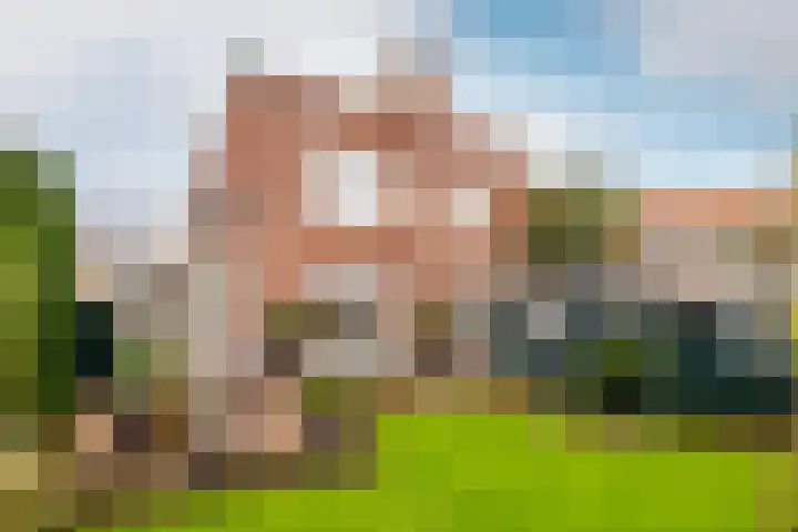 Van Hoeylaan 26 Den Haag thumbnail 22