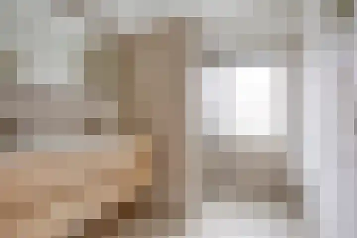 Van Hoeylaan 27 Den Haag thumbnail 17