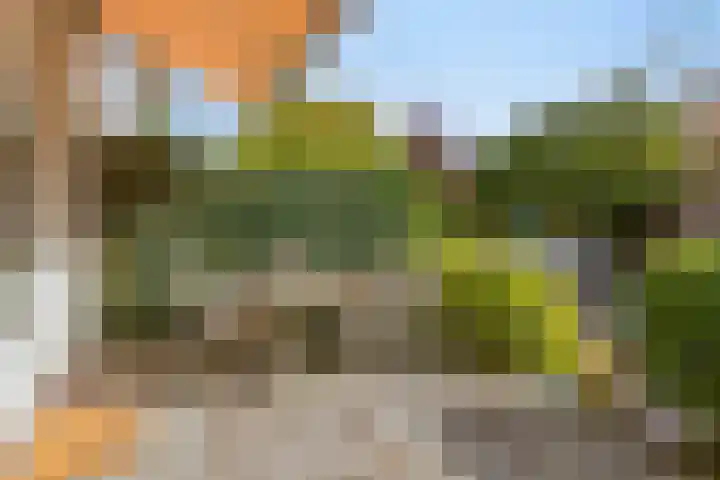 Van Hoeylaan 27 Den Haag thumbnail 29
