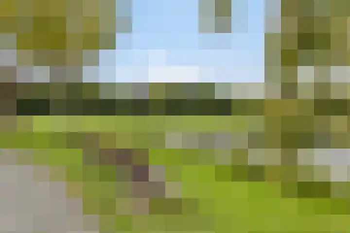 Van Hoeylaan 27 Den Haag thumbnail 33