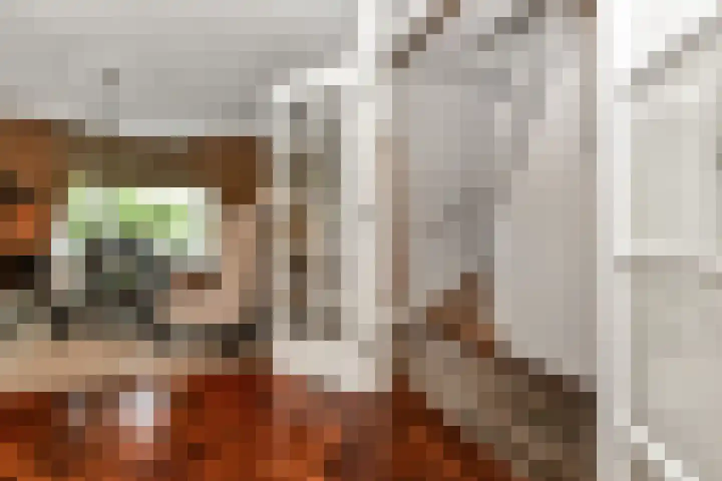 Van Hoeylaan 31 Den Haag thumbnail 11