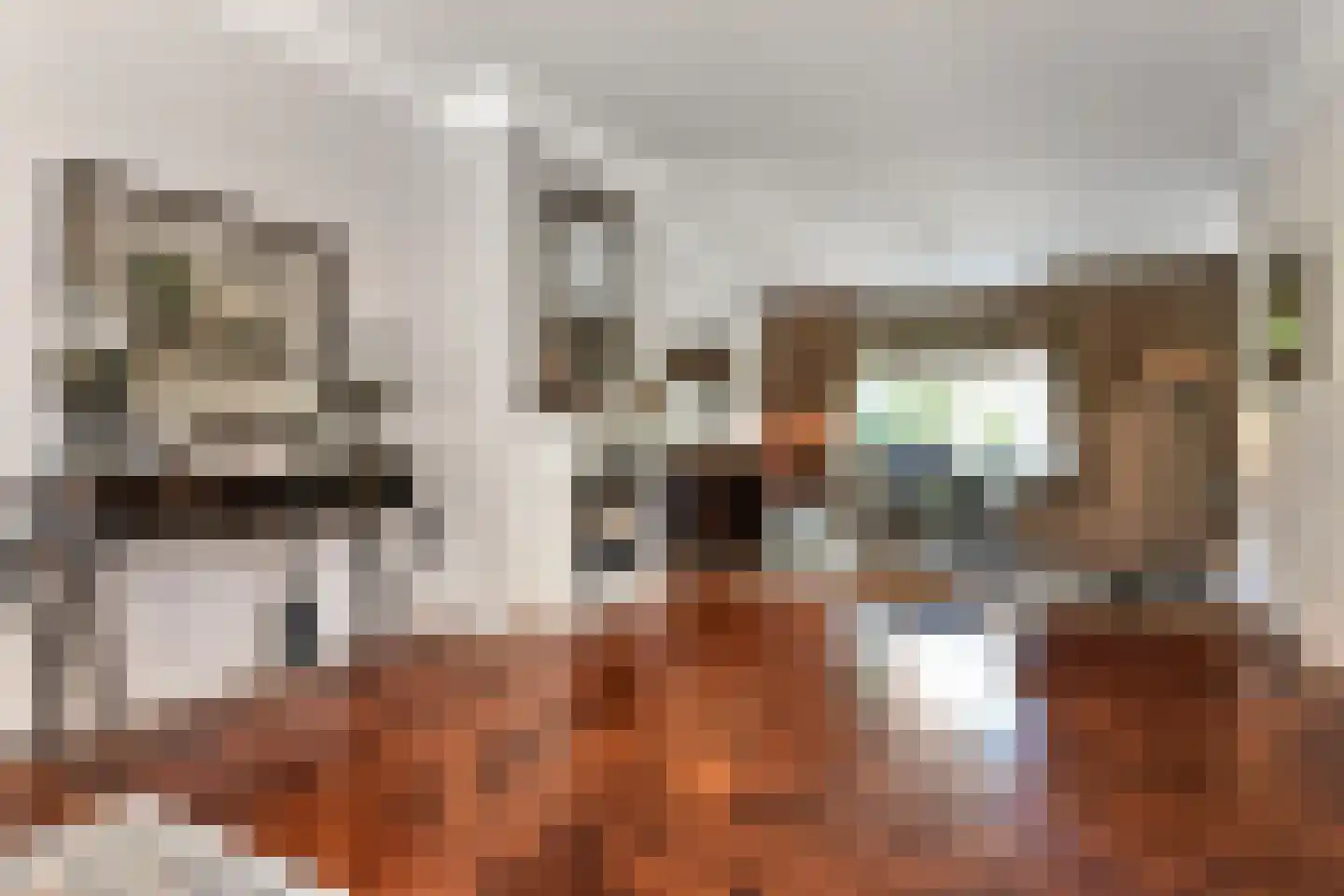 Van Hoeylaan 31 Den Haag thumbnail 12