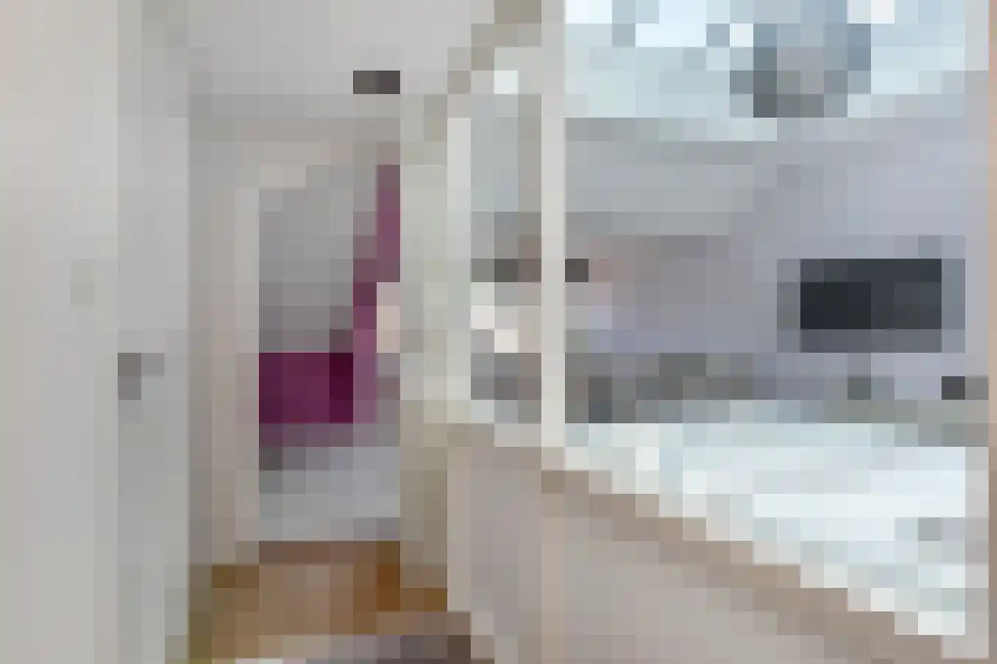 Van Hoeylaan 31 Den Haag thumbnail 29