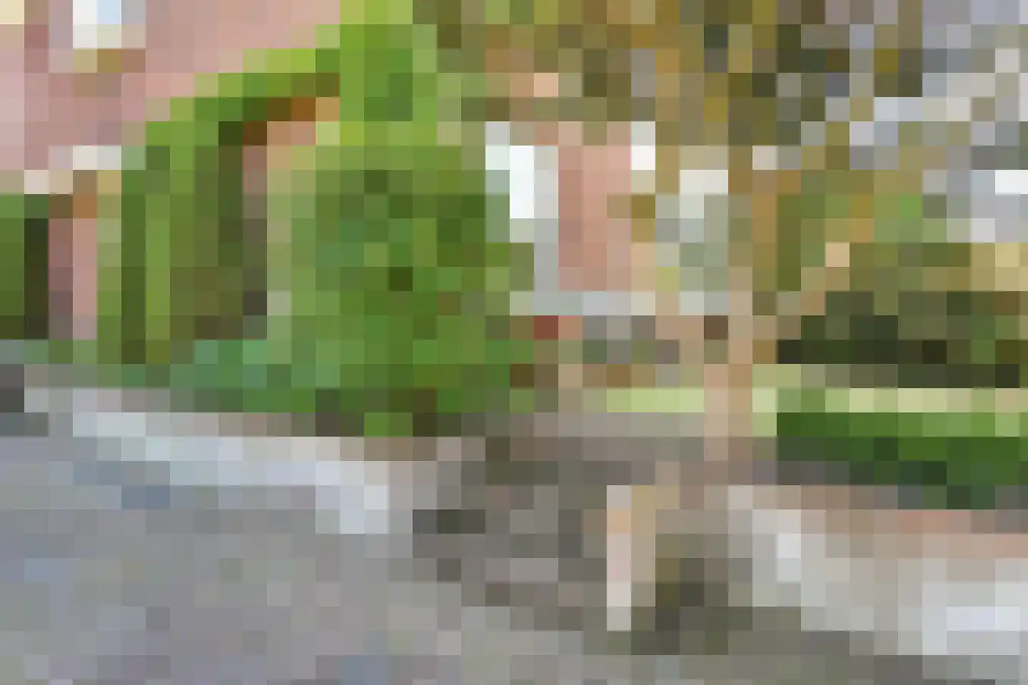 Van Hoeylaan 31 Den Haag thumbnail 41