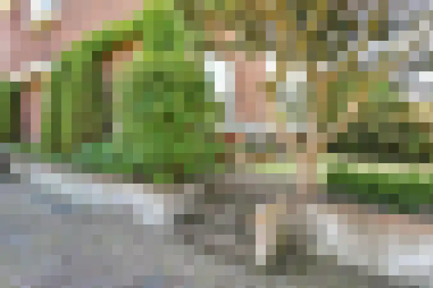 Van Hoeylaan 31 Den Haag thumbnail 42