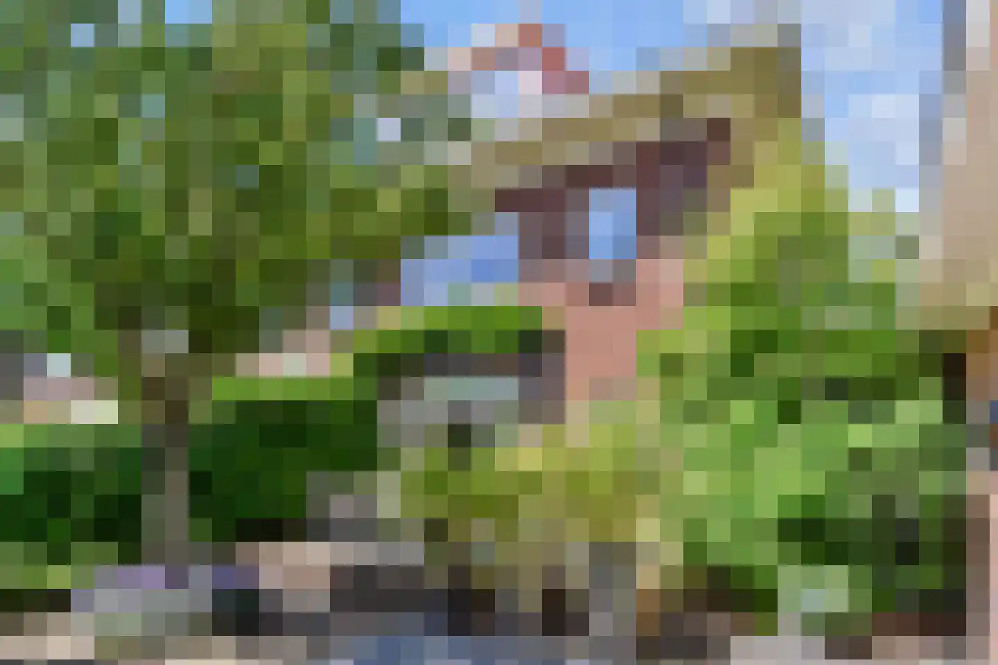 Van Hoeylaan 31 Den Haag thumbnail 6
