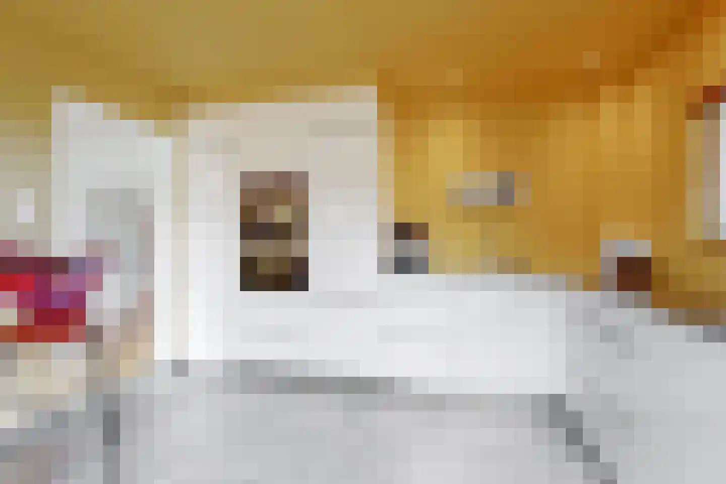 Van Hoeylaan 43 Den Haag thumbnail 12
