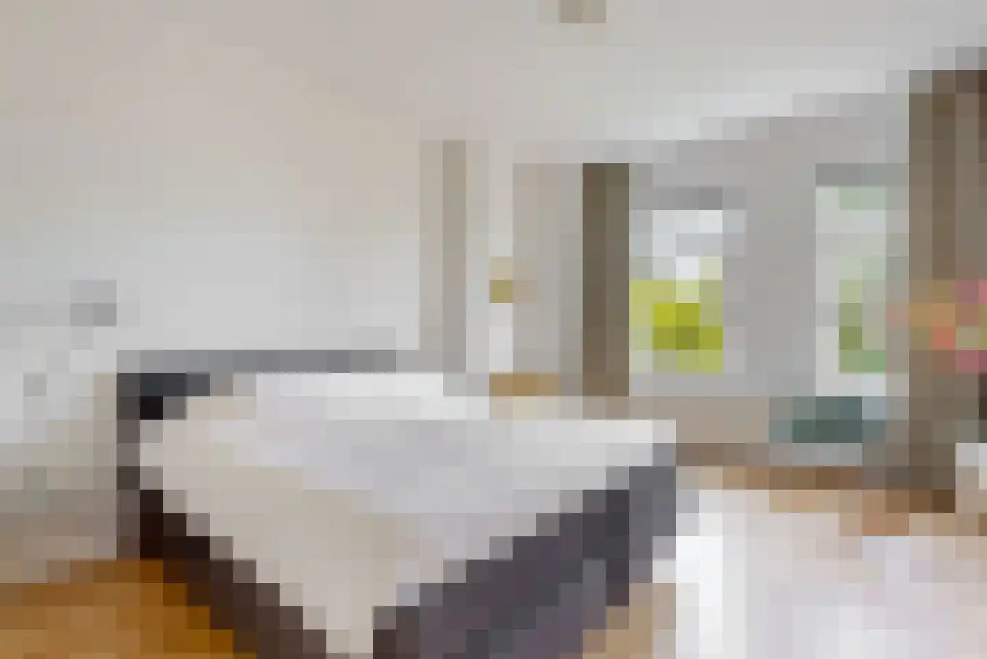 Van Hoeylaan 43 Den Haag thumbnail 20