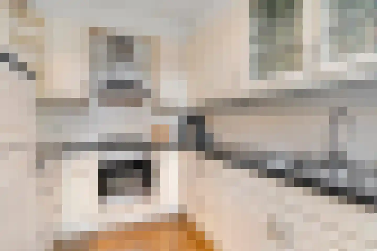 Van Hoffenlaan 30 Bennekom thumbnail 22