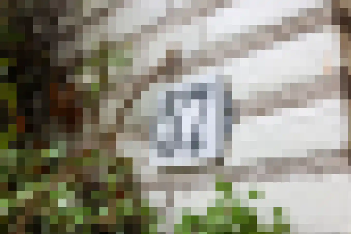 Van Hoffenlaan 57 Bennekom thumbnail 6