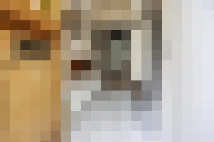 Van Hoffenlaan 57 Bennekom thumbnail 7