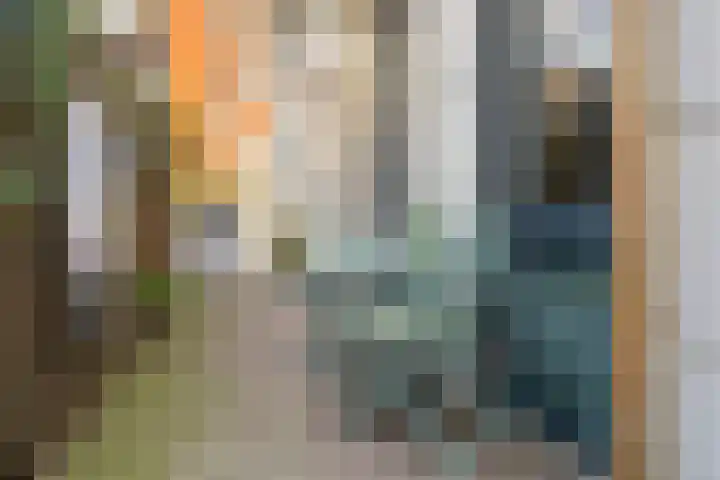 Van Hoftenstraat 24 's-Hertogenbosch thumbnail 30