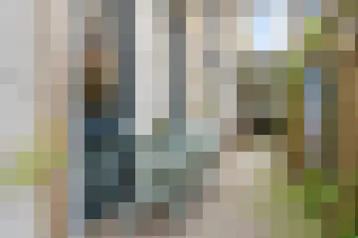 Van Hoftenstraat 24 's-Hertogenbosch thumbnail 31