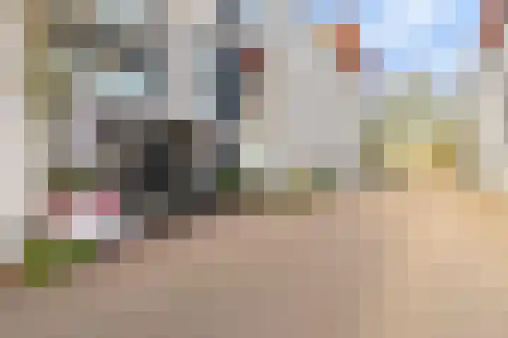 Van Hoftenstraat 24 's-Hertogenbosch thumbnail 35