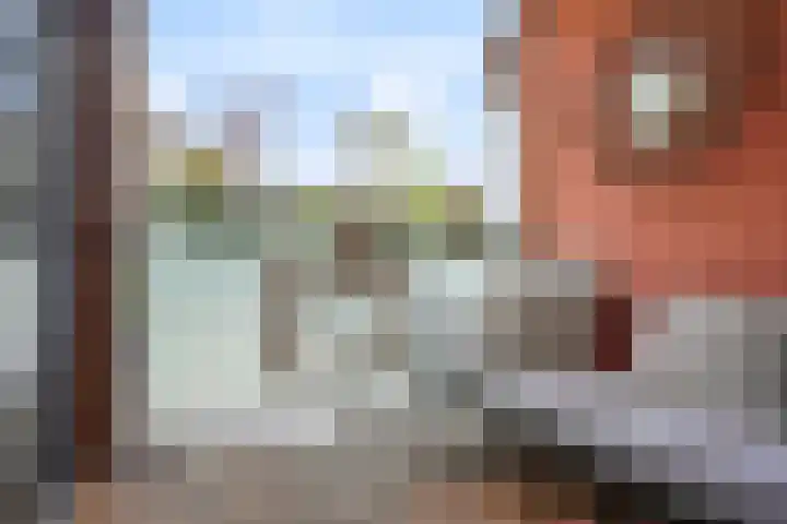 Van Hoftenstraat 37 's-Hertogenbosch thumbnail 20